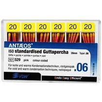Guttapercha csúcs 6% 020