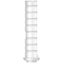 Kiégethető műcsonk Multi 2 db- Burnout Abutment Multi