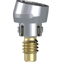 Access Abutment 10° 2.6mm