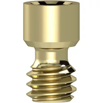 Access Neo Prosthetic Screw – 1 pc