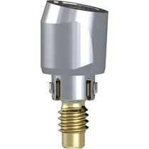 Access Abutment 10° 4.6 mm