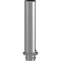 CoCr Abutment Mono