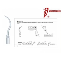Depurator hegy - G10 - Woodpecker