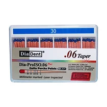 Diadent Dia-Pro Plus 06. guttapercha 30