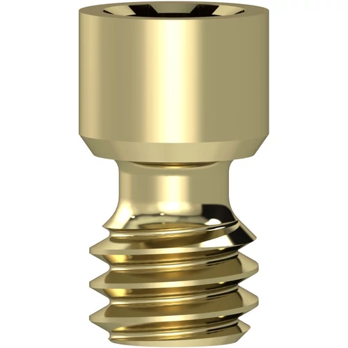 Access Neo Prosthetic Screw – 1 pc