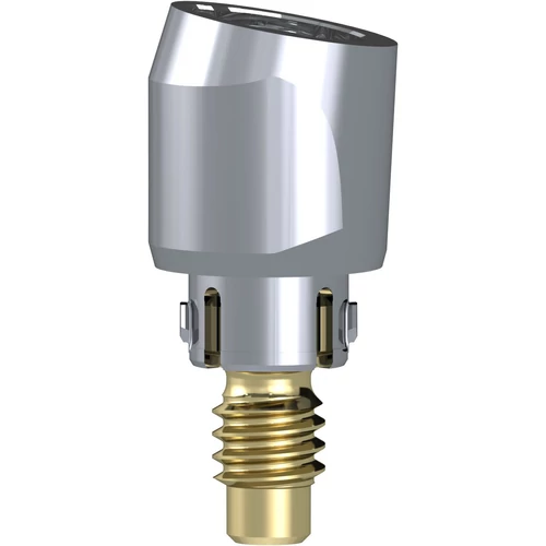 Access Abutment 10° 4.6 mm