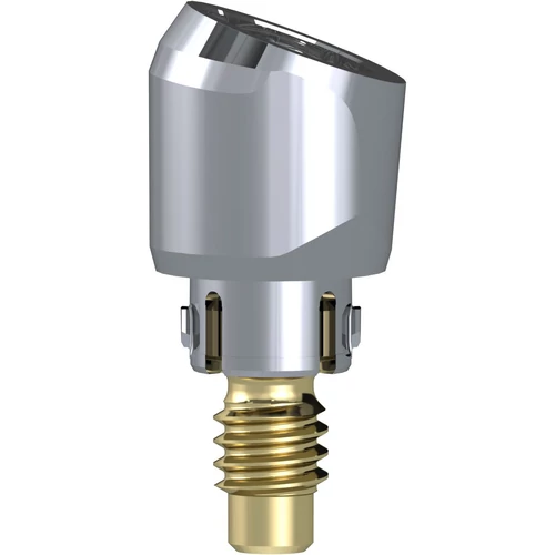 Access Abutment 20° 4.6 mm