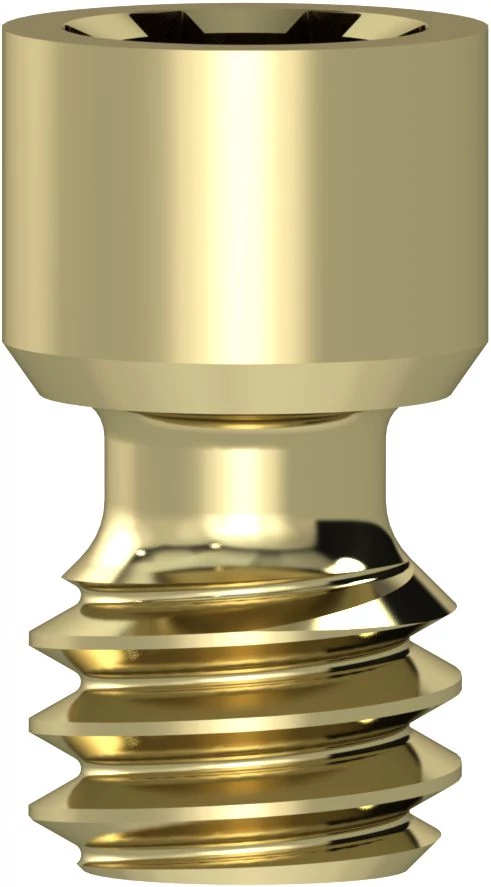 Access Neo Prosthetic Screw – 1 pc