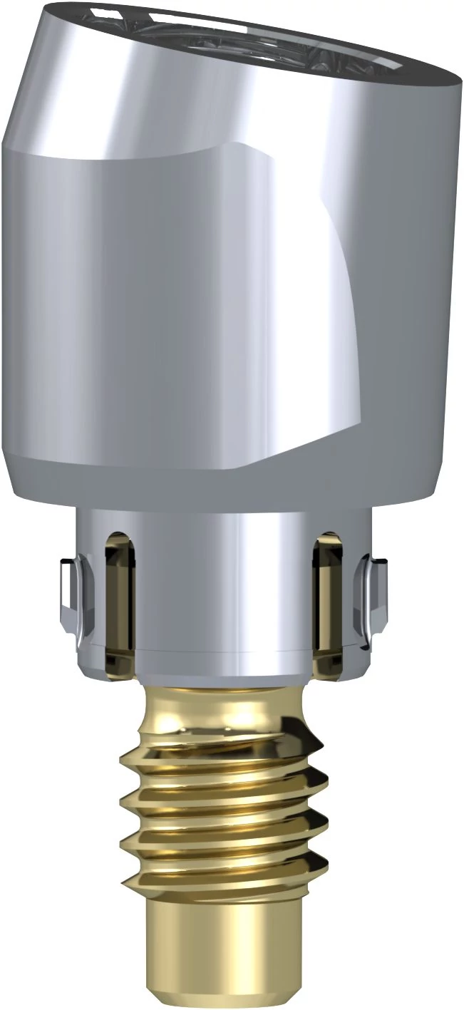 Access Abutment 10° 4.6 mm